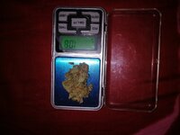 IMG_20201215_110622.jpg
