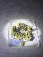 IMG_0542.jpeg