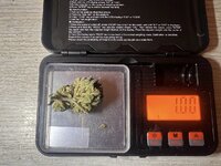 IMG_0539.jpeg