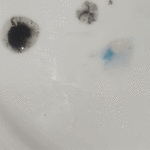 IMG_2298.gif