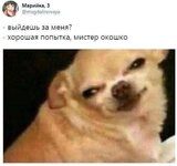 17490792956061.jpg