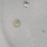 IMG_2460.gif