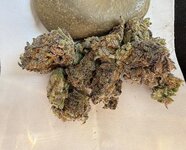 IMG_4452.jpeg