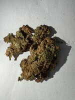 IMG_0325.jpeg
