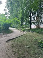 IMG_9039.jpeg