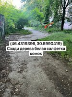 IMG_9008.jpeg