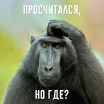 7q8rfdcn9euc1 (1).jpeg