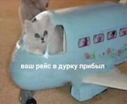 e6a6a820553fc8e2c1f49e2ae1854bc6.jpg