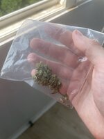 IMG_3817.jpeg
