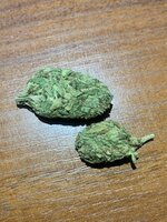 IMG_2398.jpeg