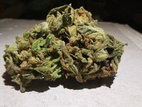 IMG_20250604_224936.jpg