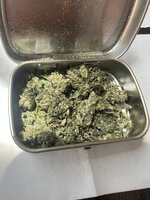 IMG_2428.jpeg