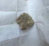 IMG_2406.jpeg