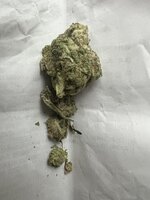 IMG_2356.jpeg