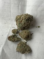 IMG_2280.jpeg