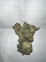 IMG_2262.jpeg