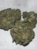 IMG_2234.jpeg