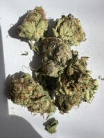 IMG_2011.jpeg