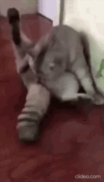 IMG_5357.gif
