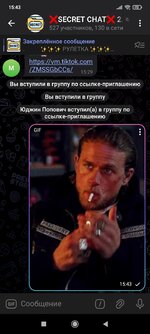 Screenshot_2025-06-07-15-43-13-978_org.telegram.messenger.jpg