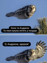 IMG_2845.jpeg
