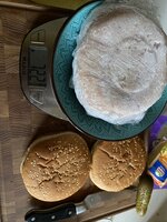 IMG_5362.jpeg IMG_5362.jpeg