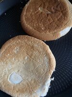 IMG_5366.jpeg IMG_5366.jpeg