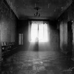 IMG_5381.jpeg