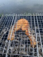 IMG_1195.jpeg