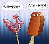 IMG_5389.jpeg