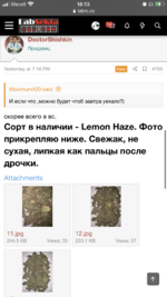 IMG_1577_Original.png