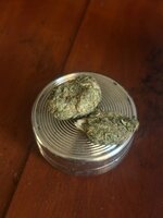 IMG_3752.jpeg