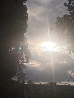 IMG_5393.jpeg