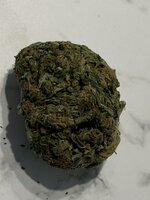 IMG_7404.jpeg