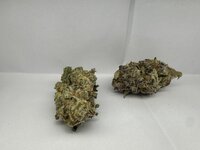 IMG_5245.JPG