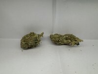 IMG_5249.JPG