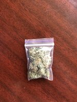 IMG_4713.jpeg IMG_4713.jpeg