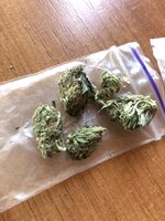 IMG_4716.jpeg