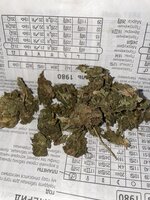 IMG_3064.jpeg
