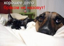 Снимок.JPG