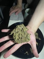 IMG_2558.jpeg