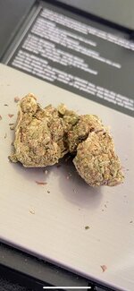 imgonline-com-ua-dexify0v7pUDcH4a5.jpg