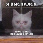 1749626244721.jpeg