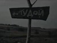 IMG_2900.jpeg