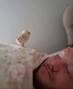 IMG_1846.jpeg