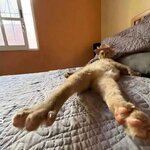 IMG_1848.jpeg