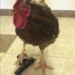 IMG_1855.jpeg