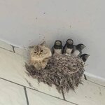 IMG_1870.jpeg