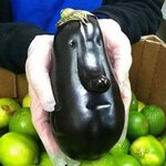 IMG_1871.jpeg