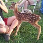 IMG_1877.jpeg